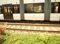 KVB Bahn entgleist Koeln Suelz Hermeskeilerstr Am Beethovenpark P015